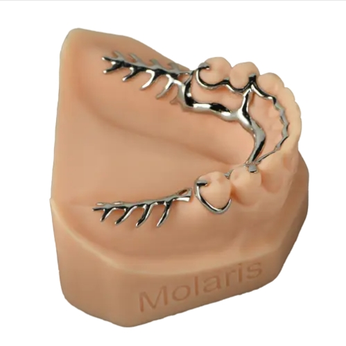 What's the Difference between Acrylic and Metal Partial Dentures?